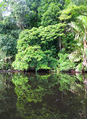 Obraz premium 鏡のような風景（コスタリカ）