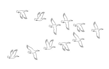 Flock of duck birds. Vector silhouette image.