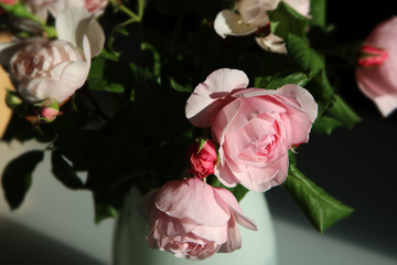 Romantiche rose in vaso appena colte, dettagli