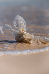 A splash of water. A wave of the ocean breaks on a shell washed up on a sandy beach. The coast of a tropical island on a Sunny day. Vertical photo without people