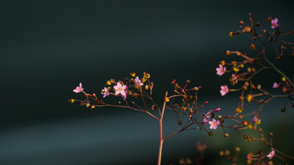 abstract background with flowers