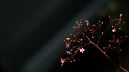 abstract background with stars