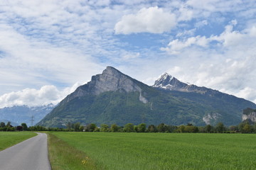 Fototapeta premium Naturfotografie