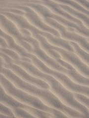 Fototapeta na wymiar Closeup of yellow sand pattern of a beach in the summer. 