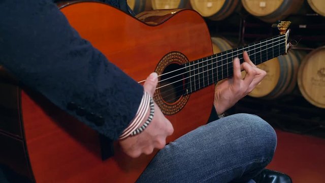 Guitarrista flamenco en bodega
