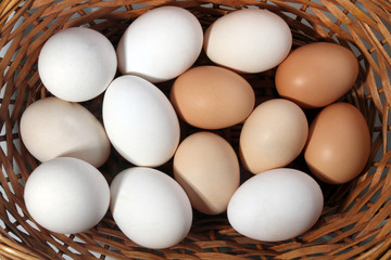 organic eggs in the basket