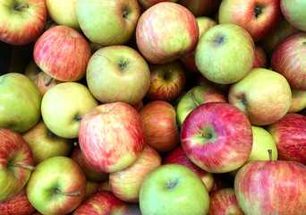 photo lots of apples on the counter supermarket