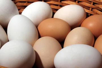 organic eggs in the basket