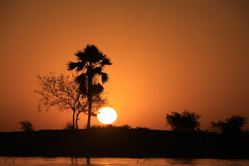 Malowniczy zachód słońca na spokojnej rzece Niger w afryce z konturami drzew w tle