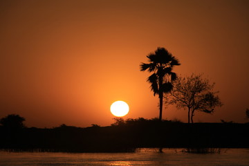 Malowniczy zachód słońca na spokojnej rzece Niger w afryce z konturami drzew w tle