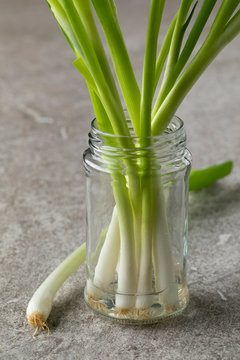 Fresh Spring Onions In A Glass Pot Close Up