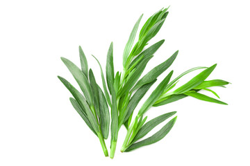 Tarragon leaves isolated on white background. Artemisia dracunculus. top view