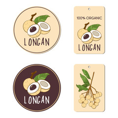 Vector labels set with longan fruit. Hand drawn tropical vietnamese fruit illustration for packaging design.
