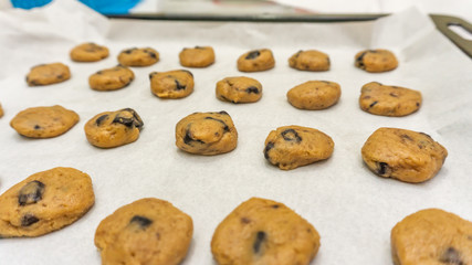 Close up view of raw cookies with chocolate chips before baking on a cover paper on a tray. Detail and texture view.