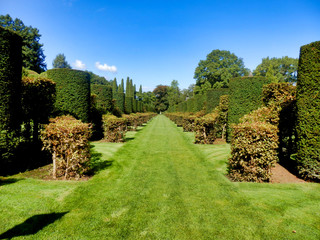 Fototapeta na wymiar Avenue of Box and Hornbeam topiary found in Eyrignac Manor Garden, in the Dordogne, France