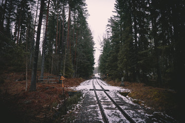 Old railroad in Swedish forrest 