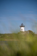 Fototapeta na wymiar Lighthouse with grass on the foreground