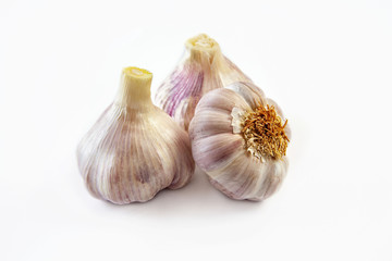 Garlic bulbs on a white background