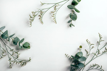White paper background with eucalyptus and grass herbs on it.