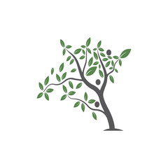Obraz premium Tree Vector ,hand drawn, illustration of Olive tree vector design template