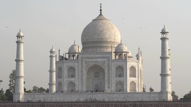 afternoon tilt up shot of the taj mahal from mehtab bagh in agra, india