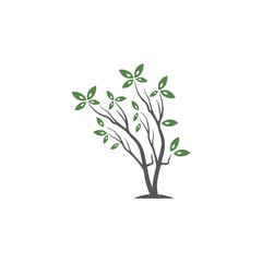 Tree Vector ,hand drawn,  illustration of  Olive tree vector design template