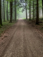 Fototapeta premium Schwarzwald im Frühling Stampf Scharfenstein