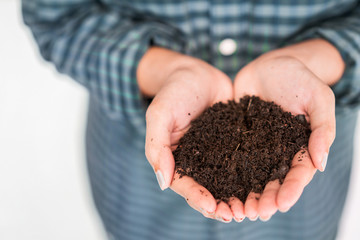 Close up hand of asian woman holding fertilizer compost in her hand isolate white background, Selective focus.