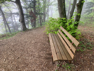 Lemberg in Baden-Württemberg bei Nebel