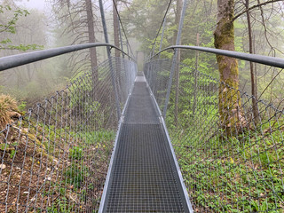 Lemberg in Baden-Württemberg bei Nebel