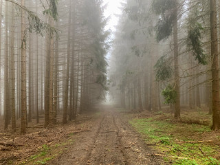 Fototapeta premium Lemberg in Baden-Württemberg bei Nebel