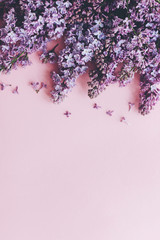 Lilac flowers on pink paper, stylish spring flat lay. Floral greeting card with space for tex. Purple lilac flowers border, beautiful image. Happy mothers day concept. Womens day