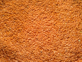 Red raw organic lentils texture. Food ingredient background. Nepal