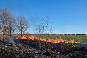 Fire. Burning last year's dry grass with plenty of smoke could turn into a tragedy.
