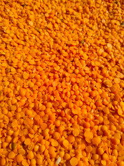 Red raw organic lentils texture. Food ingredient background. Nepal