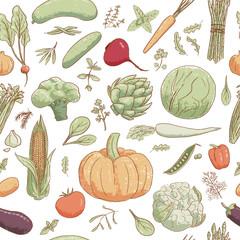 Hand-drawn popular cartoon vintage style vegetables and coolinary herbs, vector seamless pattern