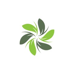 Leaf logo template  vector icon
