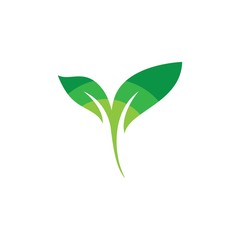 Leaf logo template  vector icon