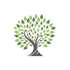 Obraz premium Tree logo template vector icon