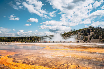 yellowstone national park