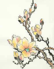 flowering magnolia branch