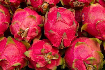pitahaya or dragon fruits, genus Hylocereus, are being sold in New Market area, Kolkata, West...