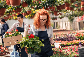 Two female florists working with flowers in a greenhouse preparing orders.