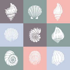 Seamless pattern with seashells. Marine background.  Perfect for greetings, invitations, manufacture wrapping paper, textile and web design.