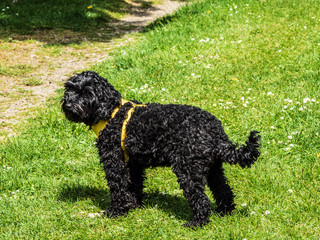 IN THE PARK NO PEOPLE 