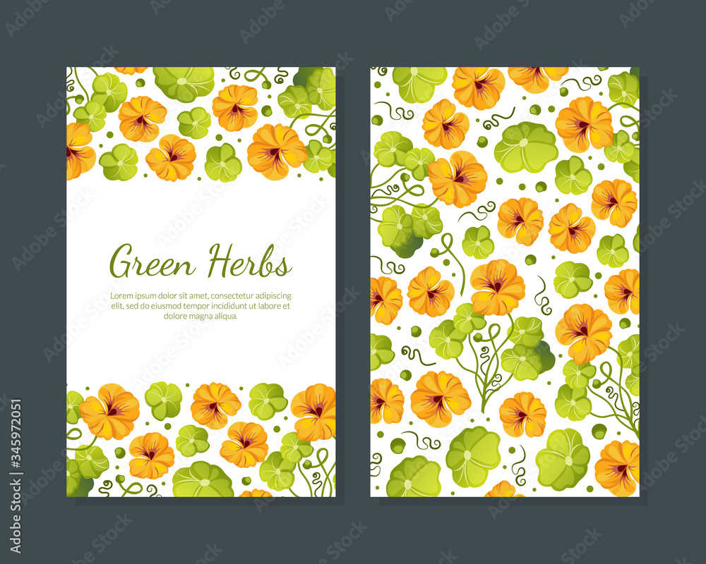 Wall mural Green Herbs Card Template with Beautiful Flowers with Leaves, Invitation Card, Flyer, Certificate Template Vector Illustration