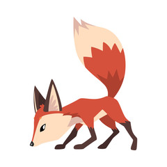 Adorable Little Fox is on the Trail, Cute Wild Forest Animal Cartoon Character Vector Illustration