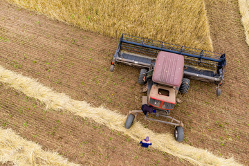 Tractor with a Reaper on the edge of a wheat field close-up. Next to the tractor is an agronomist....