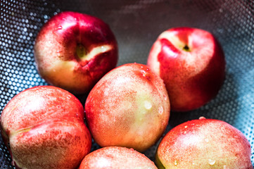 Nectarines en égouttoir