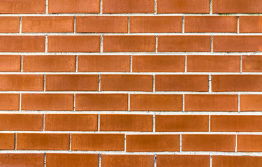 brick wall texture for background orange colour.